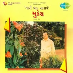 Cover of Taari Yaad Satave