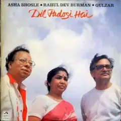 Cover of Dil Padosi Hai